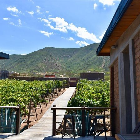 Uvauva Eco-Retreat Bed & Breakfast Вале де Гуадалупе Екстериор снимка
